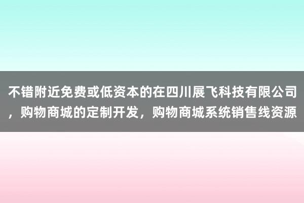 不错附近免费或低资本的在四川展飞科技有限公司，购物商城的定制开发，购物商城系统销售线资源